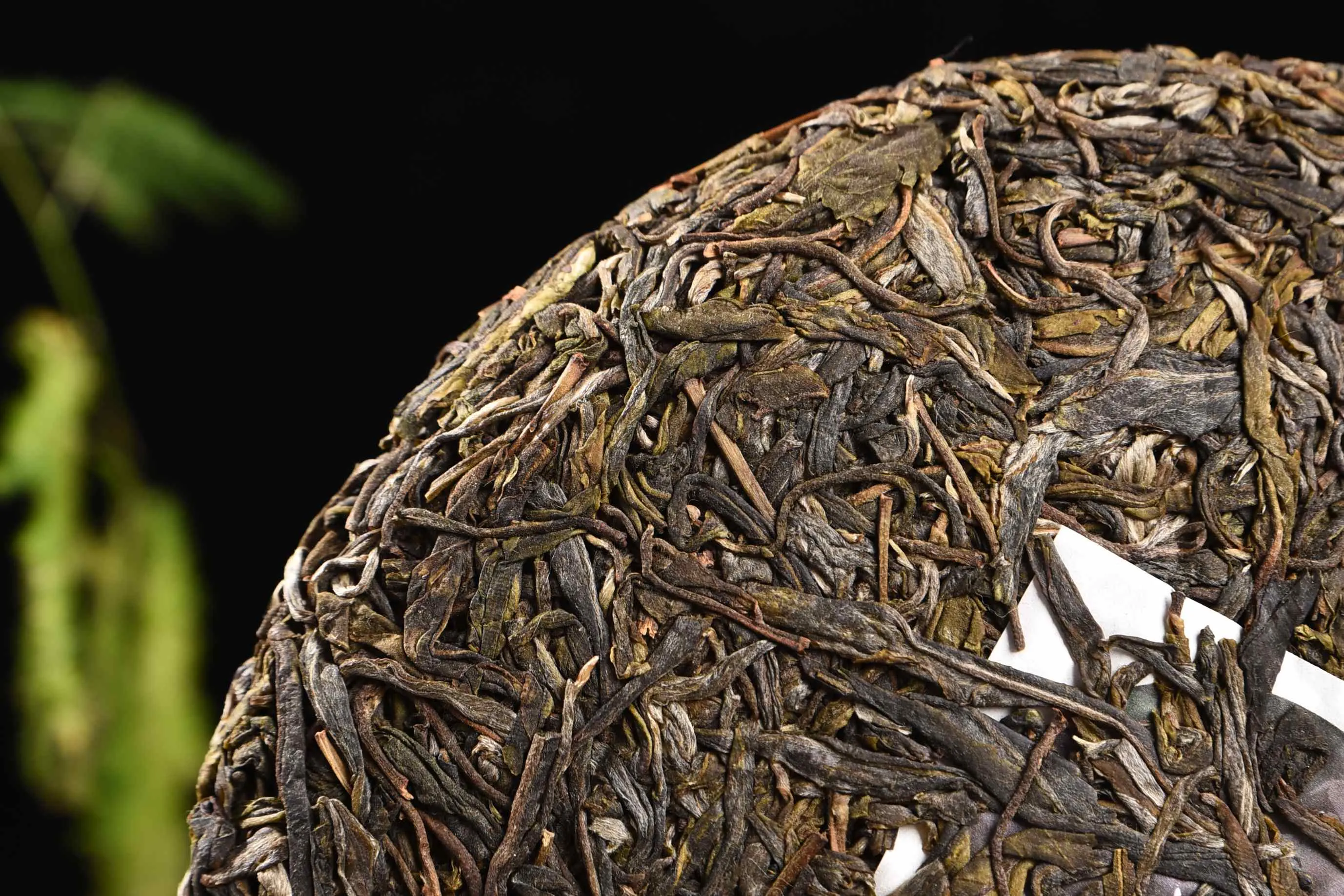 2020 Yunnan Sourcing "Big Snow Mountain" Old Arbor Raw Pu-erh Tea Cake