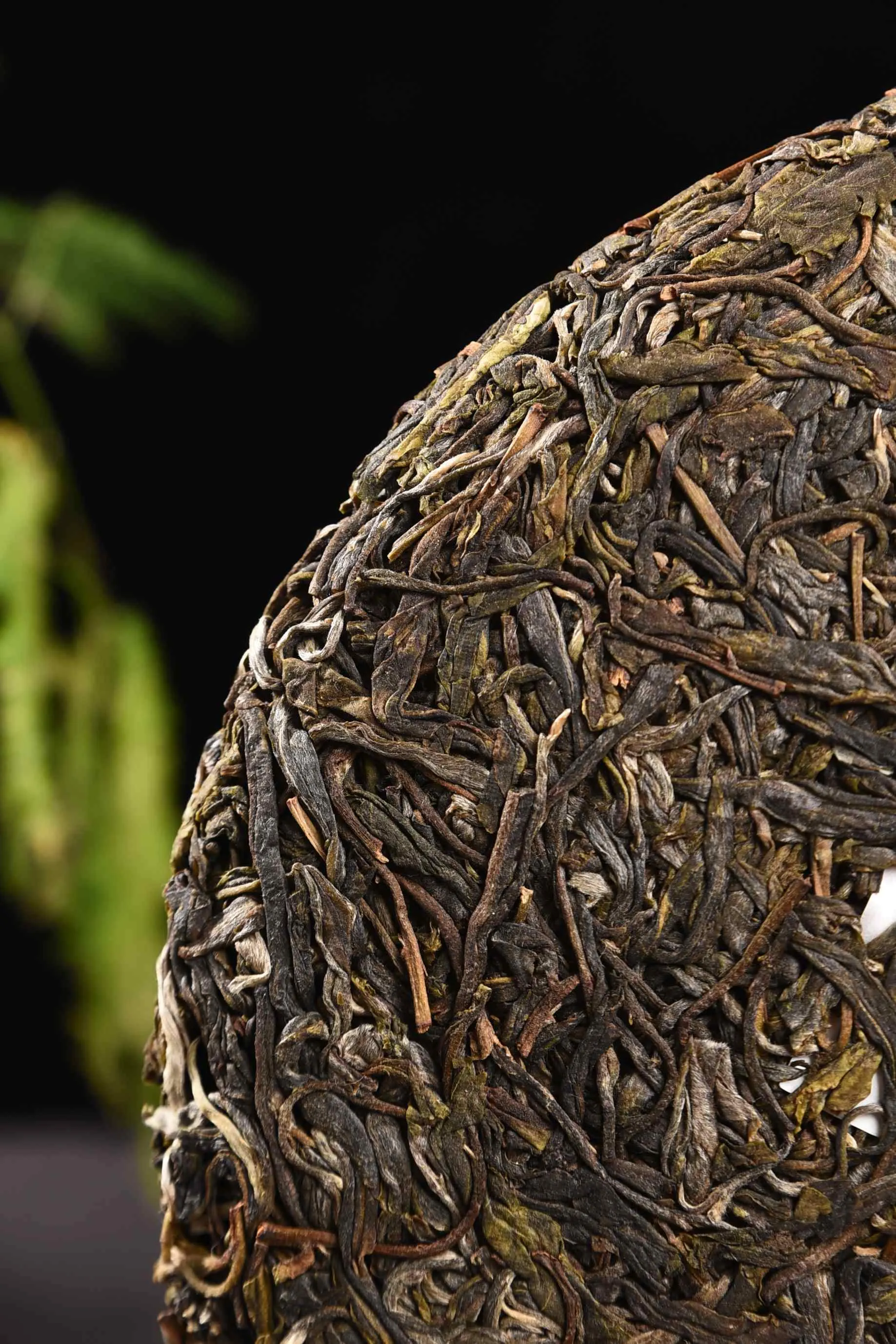 2020 Yunnan Sourcing "Big Snow Mountain" Old Arbor Raw Pu-erh Tea Cake