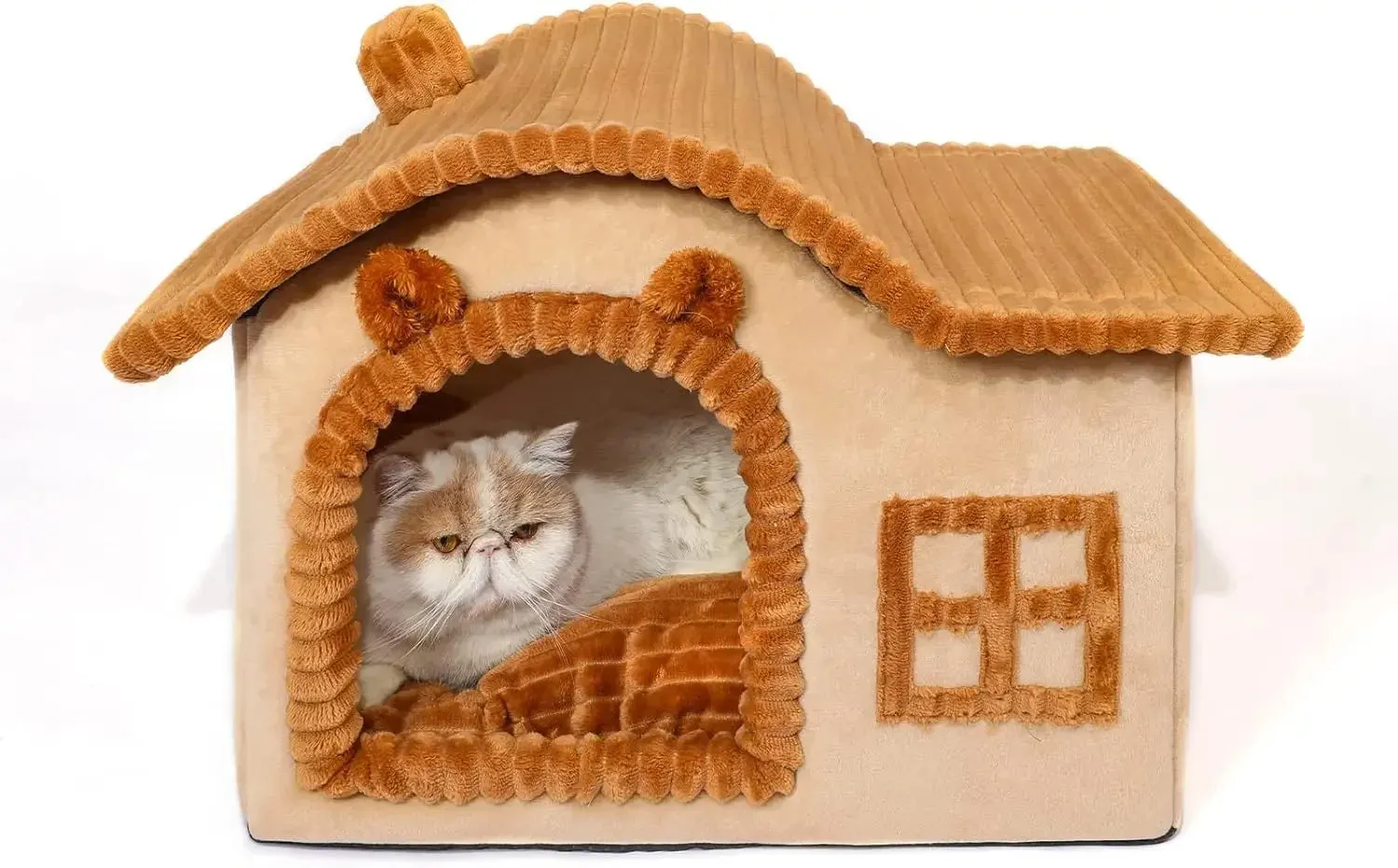 Cartoon Indoor Cat House