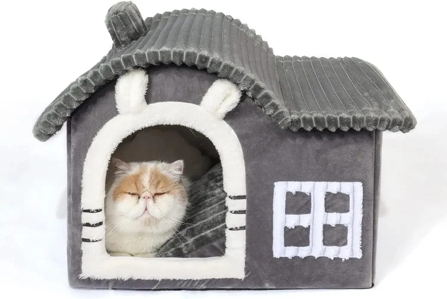 Cartoon Indoor Cat House