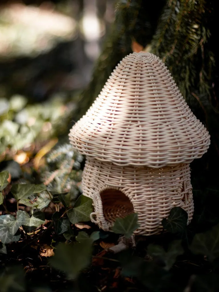 Mushroom House